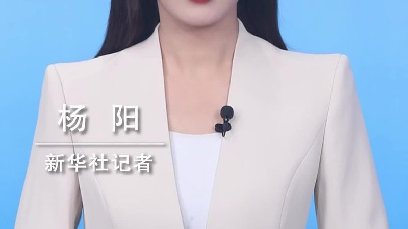 数据可视化表格：如何提升信息传达效率