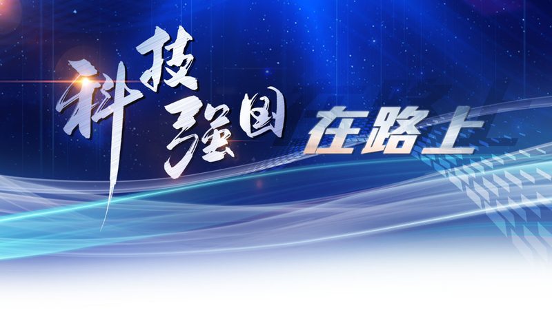 服务器批发市场现状与选型逻辑